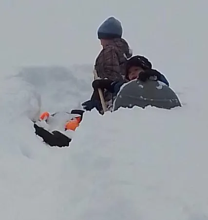 شقة Aletsch Dreams