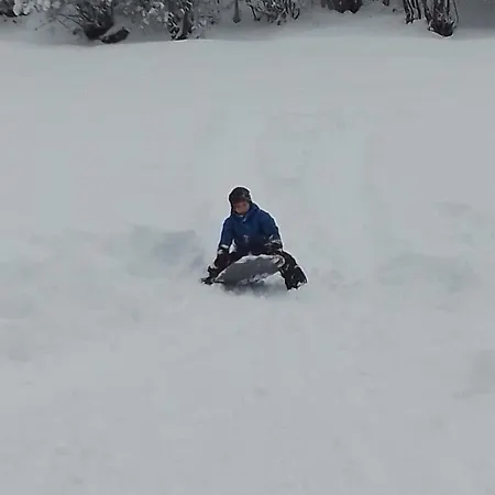 Aletsch Dreams פיש