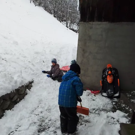 公寓 Aletsch Dreams
